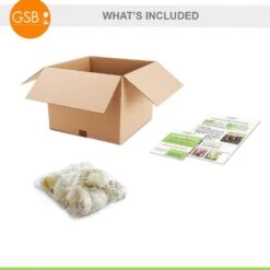 18 Cm Allium Gladiator Flower Bulbs (Bag Of 10-Bulbs) -J Parkers Garden Store garden state bulb flower bulbs ecf 02 10 c3 1000