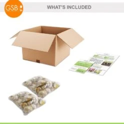 14 /16 Cm Allium Wild About Purple Blend Mixed Flower Bulbs (Bag Of 50) -J Parkers Garden Store garden state bulb flower bulbs ecf 04 50 c3 1000