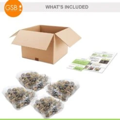 12/14 Cm Daffodil Naturalizing Mixed Flower Bulbs (Bag Of 100) -J Parkers Garden Store garden state bulb flower bulbs ecf 08 100 c3 1000