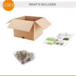 12/14 Cm Daffodil Naturalizing Mixed Flower Bulbs (Bag Of 25) 10 12/14 Cm Daffodil Naturalizing Mixed Flower Bulbs (Bag Of 25) -J Parkers Garden Store garden state bulb flower bulbs ecf 08 25 c3 1000