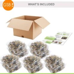 12/14 Cm Daffodil Naturalizing Mixed Flower Bulbs (Bag Of 250) -J Parkers Garden Store garden state bulb flower bulbs ecf 08 250 c3 1000