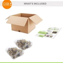 12/14 Cm Daffodil Naturalizing Mixed Flower Bulbs (Bag Of 50) -J Parkers Garden Store garden state bulb flower bulbs ecf 08 50 c3 1000