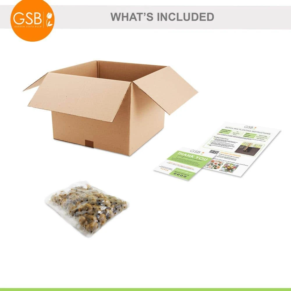 8/9 Cm Dutch Iris Hollandica Bulbs Mixed (Bag Of 50) 4 8/9 Cm Dutch Iris Hollandica Bulbs Mixed (Bag Of 50) - Image 2