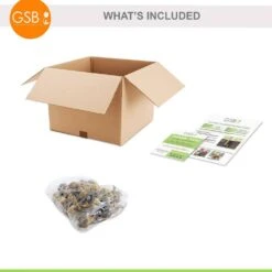 12/14 Cm, Narcissus Rock Garden Mix Daffodil Flower Bulbs (Bag Of 25) -J Parkers Garden Store garden state bulb flower bulbs ecf 103 25 01 76 1000