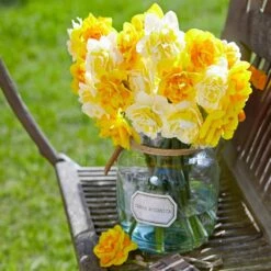 16/18 Cm, Double Flowering Golden Ducat Daffodil Bulbs (Bag Of 100) -J Parkers Garden Store garden state bulb flower bulbs ecf 104 100 04 31 1000