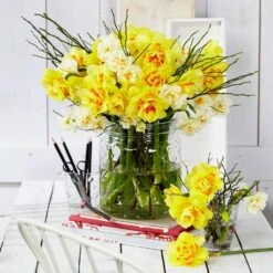 16/18 Cm, Tahiti Double Daffodil Flower Bulbs (Bag Of 100) -J Parkers Garden Store garden state bulb flower bulbs ecf 107 100 04 31 1000