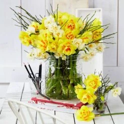 16/18 Cm, Tahiti Double Daffodil Flower Bulbs (Bag Of 25) -J Parkers Garden Store garden state bulb flower bulbs ecf 107 25 01 31 1000