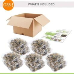 16/18 Cm, White Lion Double Daffodil Flower Bulbs (Bag Of 250) -J Parkers Garden Store garden state bulb flower bulbs ecf 108 250 10 76 1000