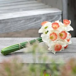 16/18cm, Pink Charm Large Cupped Daffodil Flower Bulbs (Bag Of 250) -J Parkers Garden Store garden state bulb flower bulbs ecf 112 250 10 31 1000