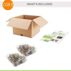 16/18cm, Red Ranger Large Cupped Daffodil Flower Bulbs (Bag Of 50) -J Parkers Garden Store garden state bulb flower bulbs ecf 113 50 02 76 1000