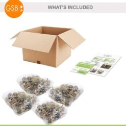 16/18cm Narcissus Tazetta Cornish Dawn Daffodil Flower Bulbs (Bag Of 100) -J Parkers Garden Store garden state bulb flower bulbs ecf 115 100 04 76 1000