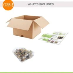 14/16cm, Pheasant's Eye Daffodil Flower Bulbs, White (Bag Of 25) 16 14/16cm, Pheasant's Eye Daffodil Flower Bulbs, White (Bag Of 25) -J Parkers Garden Store garden state bulb flower bulbs ecf 119 25 01 76 1000