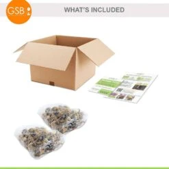 14/16 Cm, Pheasant's Eye Daffodil Flower Bulbs, White (Bag Of 50) -J Parkers Garden Store garden state bulb flower bulbs ecf 119 50 02 76 1000