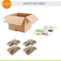 5/Plus Cm, Blue Giant Chionodoxa Glory Of The Snow Flower Bulbs (Bag Of 100) -J Parkers Garden Store garden state bulb flower bulbs ecf 123 100 02 76 1000