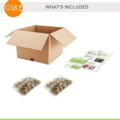 5/Plus Cm, Blue Giant Chionodoxa Glory Of The Snow Flower Bulbs (Bag Of 50) 16 5/Plus Cm, Blue Giant Chionodoxa Glory Of The Snow Flower Bulbs (Bag Of 50) -J Parkers Garden Store garden state bulb flower bulbs ecf 123 50 01 76 1000