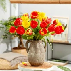 12/ Cm, Yellow And Red Mix Darwin Hybrid Tulip Flower Bulbs (Bag Of 25) -J Parkers Garden Store garden state bulb flower bulbs ecf 130 25 01 31 1000