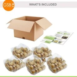 12/+ Cm Bright Sunshine Mix Single Late Tulip Flower Bulbs (Bag Of 250) -J Parkers Garden Store garden state bulb flower bulbs ecf 133 250 10 76 1000