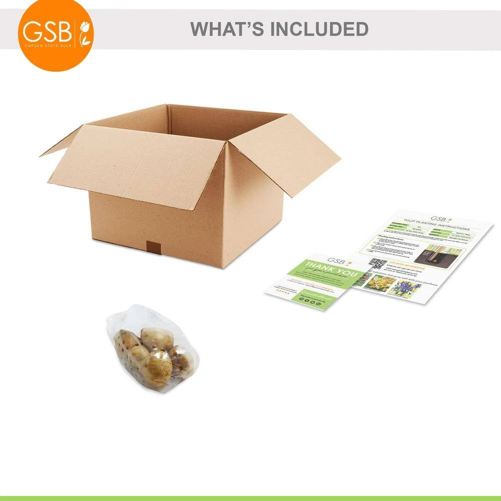 12/+ Cm Hybrid Black Nightmare Single Late Tulip Bulbs (Bag Of 5) 9 12/+ Cm Hybrid Black Nightmare Single Late Tulip Bulbs (Bag Of 5) - Image 7