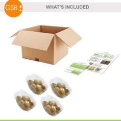 12/+ Cm Hybrid Black Nightmare Single Late Tulip Bulbs (Bag Of 20) -J Parkers Garden Store garden state bulb flower bulbs ecf 138 20 04 76 1000