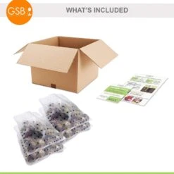 15/16 Cm Hyacinth Bulbs Giant Mixed (Bag Of 100) 11 15/16 Cm Hyacinth Bulbs Giant Mixed (Bag Of 100) -J Parkers Garden Store garden state bulb flower bulbs ecf 14 100 c3 1000