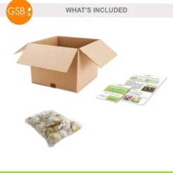 6/+ Cm, Drumsticks Allium Flower Bulbs (Bag Of 25) -J Parkers Garden Store garden state bulb flower bulbs ecf 141 25 01 76 1000