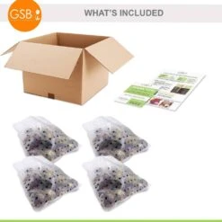 15 Cm/16 Cm, Blue Jacket Hyacinth Flower Bulbs (Bag Of 100) -J Parkers Garden Store garden state bulb flower bulbs ecf 151 100 04 76 1000