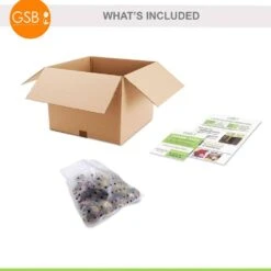 15/16cm, Pastel Mix Hyacinth Flower Bulbs (Bag Of 25) -J Parkers Garden Store garden state bulb flower bulbs ecf 153 25 01 76 1000