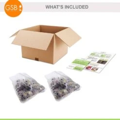 15/16cm, Pastel Mix Hyacinth Flower Bulbs (Bag Of 50) 16 15/16cm, Pastel Mix Hyacinth Flower Bulbs (Bag Of 50) -J Parkers Garden Store garden state bulb flower bulbs ecf 153 50 02 76 1000