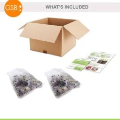 8/10 Cm Pink Wood Hyacinth Flower Bulbs (Bag Of 50) -J Parkers Garden Store garden state bulb flower bulbs ecf 154 50 01 76 1000