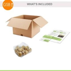 12/+ Cm, Double Dutch Mix Double Late Tulip Flower Bulbs (Bag Of 25) -J Parkers Garden Store garden state bulb flower bulbs ecf 41 25 01 76 1000