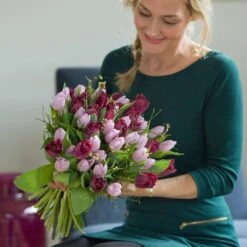 12/+ Cm, Dutch Prince Mix Single Early Tulip Flower Bulbs (Bag Of 50) 17 12/+ Cm, Dutch Prince Mix Single Early Tulip Flower Bulbs (Bag Of 50) -J Parkers Garden Store garden state bulb flower bulbs ecf 42 50 02 31 1000