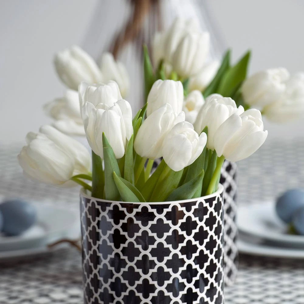 12/+ Cm, Hakuun Darwin Hybrid Tulip Flower Bulbs, White (Bag Of 250) 10 12/+ Cm, Hakuun Darwin Hybrid Tulip Flower Bulbs, White (Bag Of 250) - Image 8