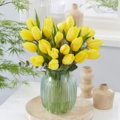 12/+ Cm, Yellow Impression Darwin Hybrid Tulip Flower Bulbs (Bag Of 100) 17 12/+ Cm, Yellow Impression Darwin Hybrid Tulip Flower Bulbs (Bag Of 100) -J Parkers Garden Store garden state bulb flower bulbs ecf 46 100 04 31 1000