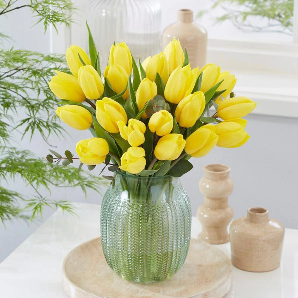 12/+ Cm, Yellow Impression Darwin Hybrid Tulip Flower Bulbs (Bag Of 50) 10 12/+ Cm, Yellow Impression Darwin Hybrid Tulip Flower Bulbs (Bag Of 50) - Image 8