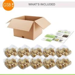 12/ Plus Cm, Single Late Yellow Big Smile Tulip Flower Bulbs (Bag Of 250) -J Parkers Garden Store garden state bulb flower bulbs ecf 54 250 10 76 1000