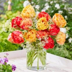 12/ Cm, Caribbean Mix Double Late Tulip Flower Bulbs (Bag Of 25) -J Parkers Garden Store garden state bulb flower bulbs ecf 80 25 01 31 1000