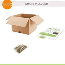 6/7cm, Candy Corn Mix Clusiana Tulip Flower Bulbs (Bag Of 25) -J Parkers Garden Store garden state bulb flower bulbs ecf 83 25 01 76 1000