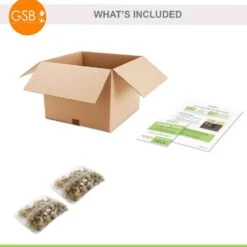 6/7cm, Candy Corn Mix Clusiana Tulip Flower Bulbs (Bag Of 50) 16 6/7cm, Candy Corn Mix Clusiana Tulip Flower Bulbs (Bag Of 50) -J Parkers Garden Store garden state bulb flower bulbs ecf 83 50 02 76 1000