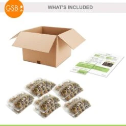 6/Plus Cm, Little Beauty Batalinii Tulip Flower Bulbs (Bag Of 250) -J Parkers Garden Store garden state bulb flower bulbs ecf 85 250 10 76 1000