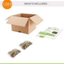 12/+ Cm, Apeldoorn's Elite Darwin Hybrid Tulip Flower Bulbs (Bag Of 50) 16 12/+ Cm, Apeldoorn's Elite Darwin Hybrid Tulip Flower Bulbs (Bag Of 50) -J Parkers Garden Store garden state bulb flower bulbs ecf 87 50 02 76 1000