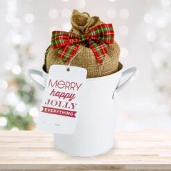 26/28 Cm Galaxy Nymph Double White Amaryllis Bulb Kit With White Container -J Parkers Garden Store garden state bulb flower bulbs ech 21 01 01 1f 1000