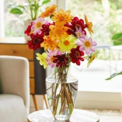 Dahlia Topmix Single Flower Mixed Live Flower Tubers (Bag Of 12) -J Parkers Garden Store garden state bulb flower bulbs ecs 08 12 03 31 1000