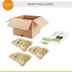 14/16cm, Oriental Lily Mixed Flower Bulbs (Bag Of 30) -J Parkers Garden Store garden state bulb flower bulbs ecs 11 30 03 c3 1000