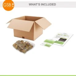 12 Cm/14 Cm, Purple Flora Gladiolus Flower Bulbs (Bag Of 30) -J Parkers Garden Store garden state bulb flower bulbs ecs 174 30 01 fa 1000