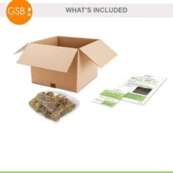 12 Cm/14 Cm, Orange Stormy Gladiolus Flower Bulbs (Bag Of 30) -J Parkers Garden Store garden state bulb flower bulbs ecs 176 30 01 fa 1000