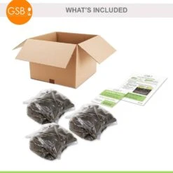 Bare Roots, Begonia Picotee Sunburst Flower Bulbs (Bag Of 30) 14 Bare Roots, Begonia Picotee Sunburst Flower Bulbs (Bag Of 30) -J Parkers Garden Store garden state bulb flower bulbs ecs 232 30 03 fa 1000