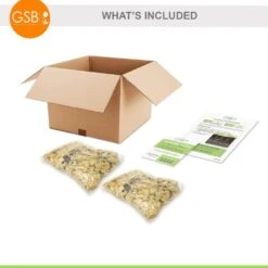 14/16 Cm, Asiatic Lily Sweet Surrender Flower Bulbs (Bag Of 20) -J Parkers Garden Store garden state bulb flower bulbs ecs 36 20 02 c3 1000