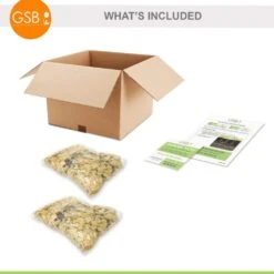 14/16 Cm, Netty's Pride Asiatic Lily Flower Bulbs (Bag Of 20) -J Parkers Garden Store garden state bulb flower bulbs ecs 51 20 02 fa 1000