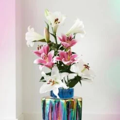 16 Cm/18 Cm, Lake Carey Oriental Lily Flower Bulbs (Bag Of 10) -J Parkers Garden Store garden state bulb flower bulbs ecs 54 10 01 31 1000