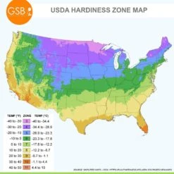 14 Cm/16 Cm, Twinkle Tiger Lily Mixed Flower Bulbs (Bag Of 10) -J Parkers Garden Store garden state bulb flower bulbs ecs 56 10 01 76 1000